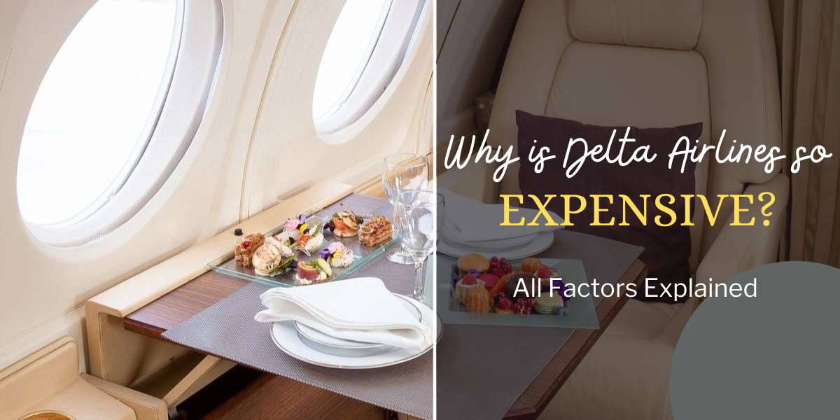 Why Delta Airlines Is So Expensive?