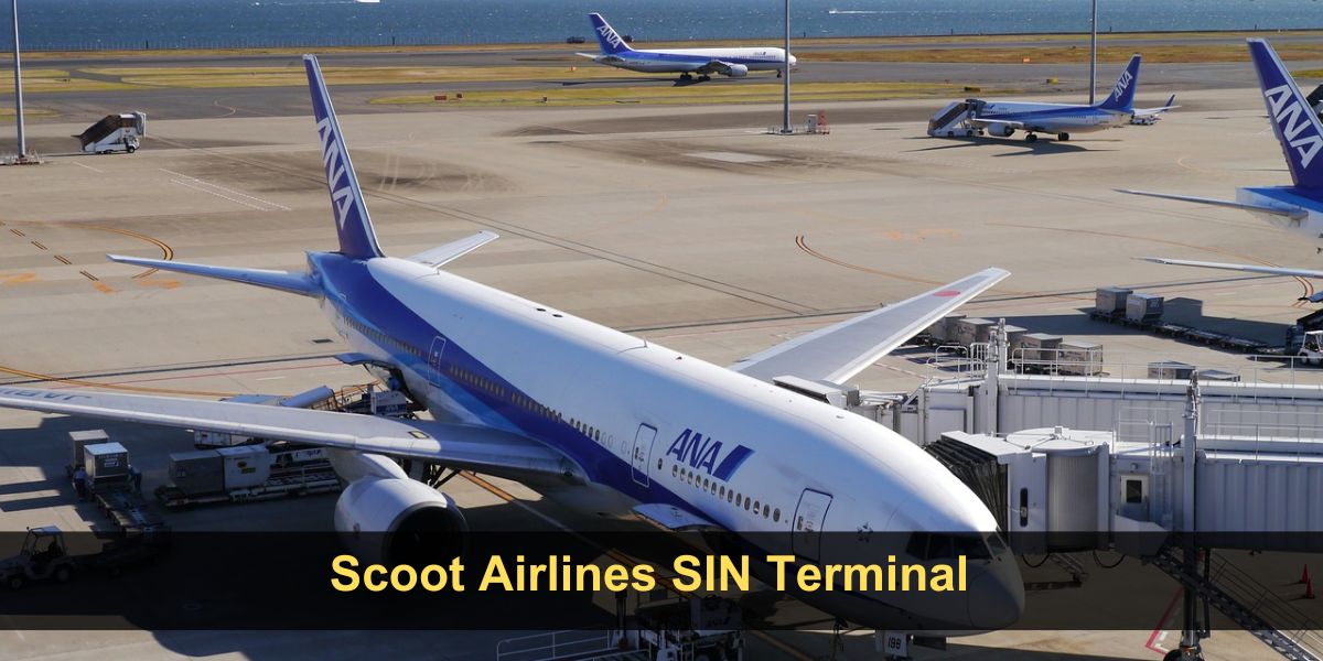 Scoot Airlines SIN Terminal - Singapore Changi Airport