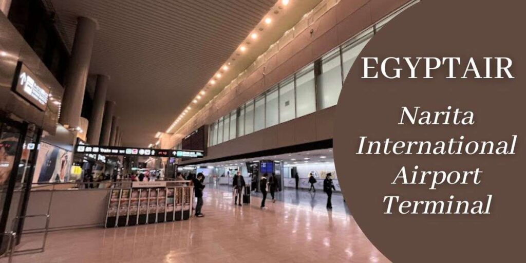 EgyptAir Narita International Airport Terminal