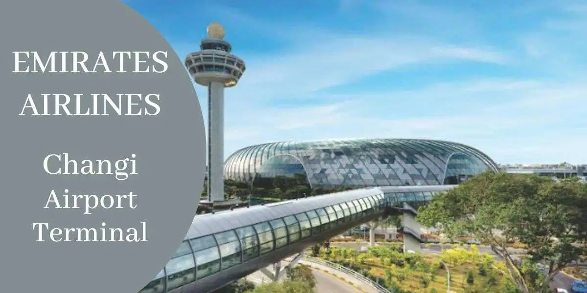 Emirates Airlines SIN Terminal - Changi Airport