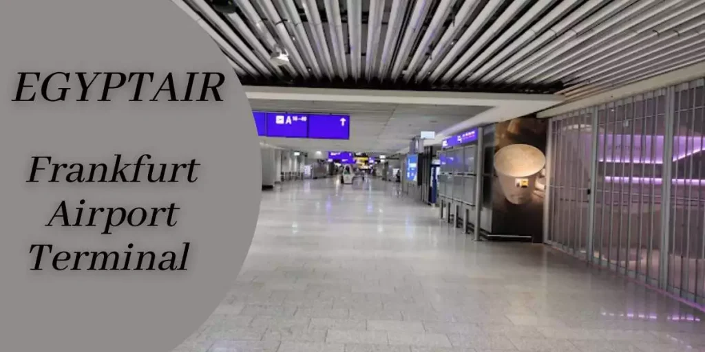 EgyptAir Frankfurt Airport Terminal