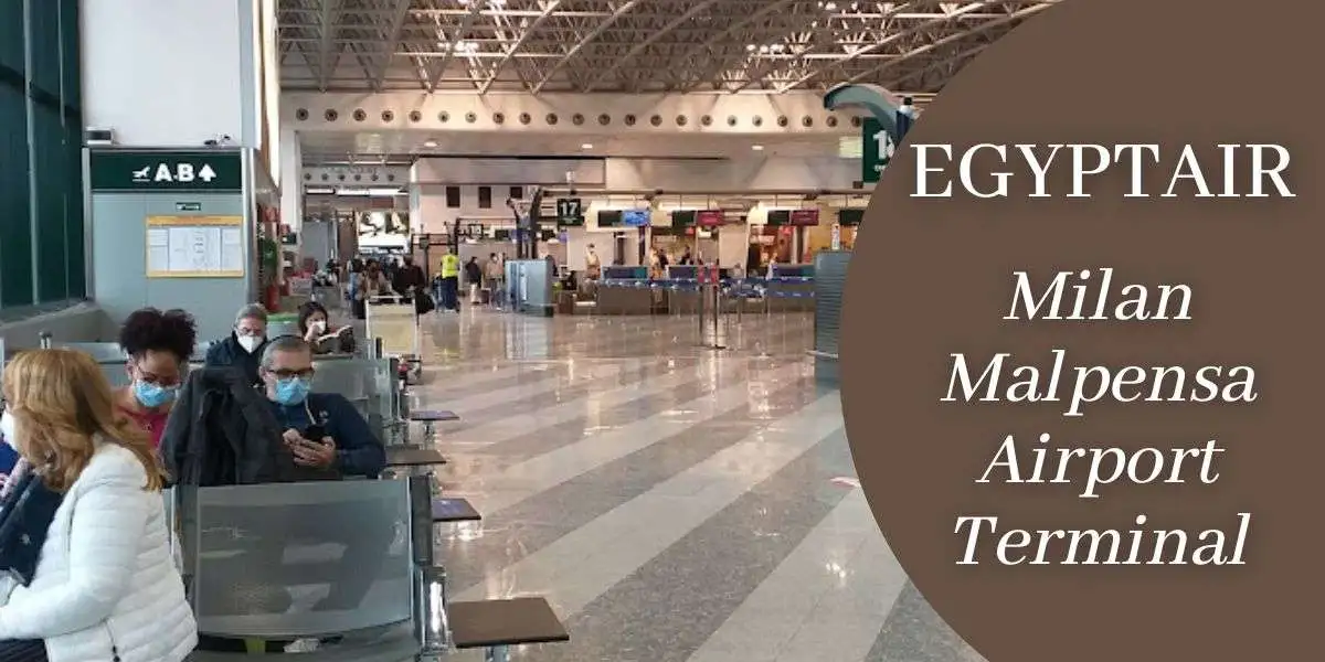 EgyptAir Milan MXP Terminal