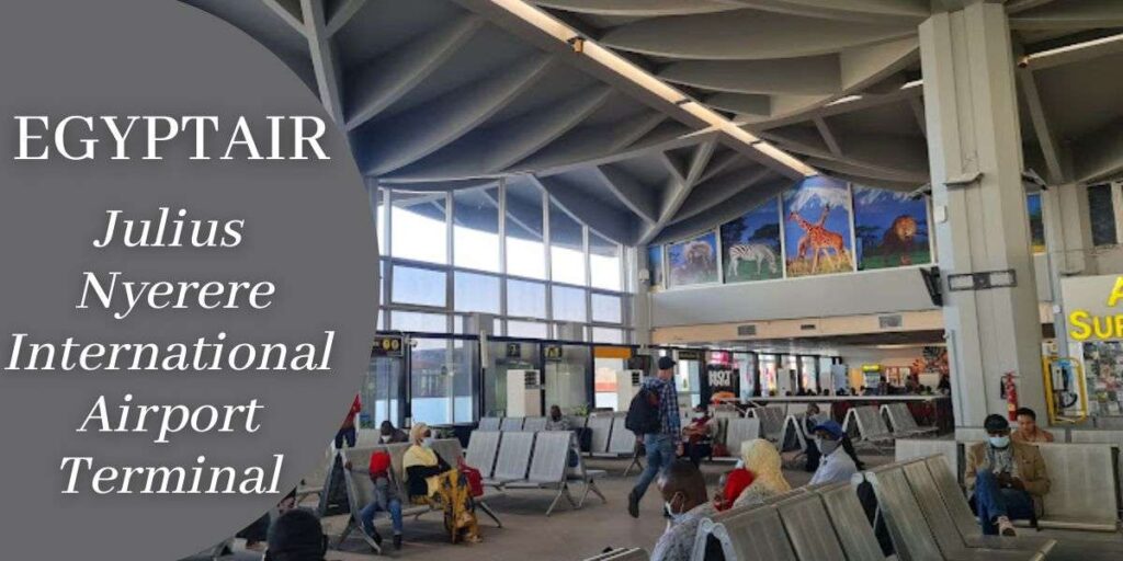 EgyptAir Julius Nyerere International Airport Terminal