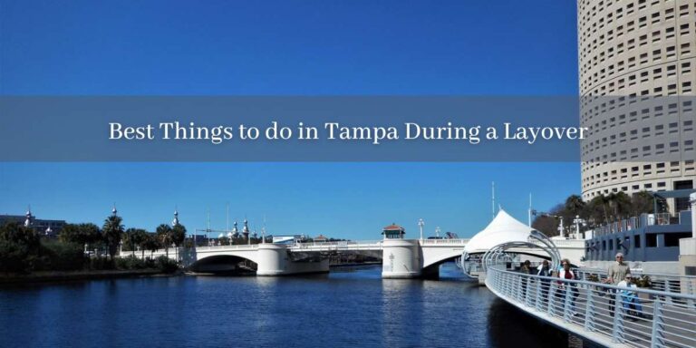 Things-to-do-at-Tampa-Airport