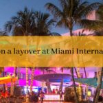 things-to-do-on-a-layover-at-miami-airport